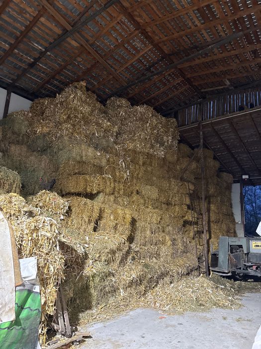 Baloți de paie și lucernă