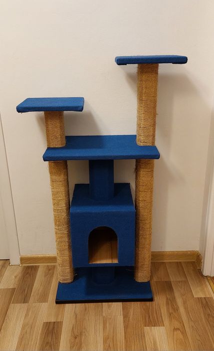 Ansamblu joaca pisici