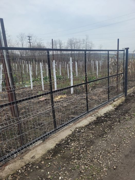 Vând loc de casă în localitatea Trușești la 30de kilometri de Botoșani