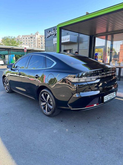 BYD Chazor 120KM Comfort 3-poz IDEAL
