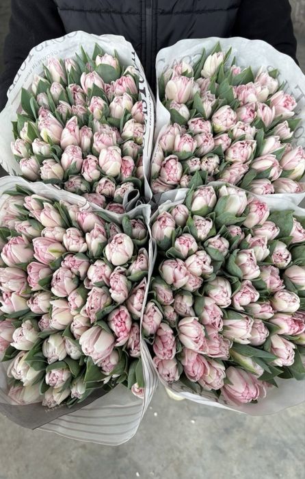 Тюльпаны оптом,розы,пионы,