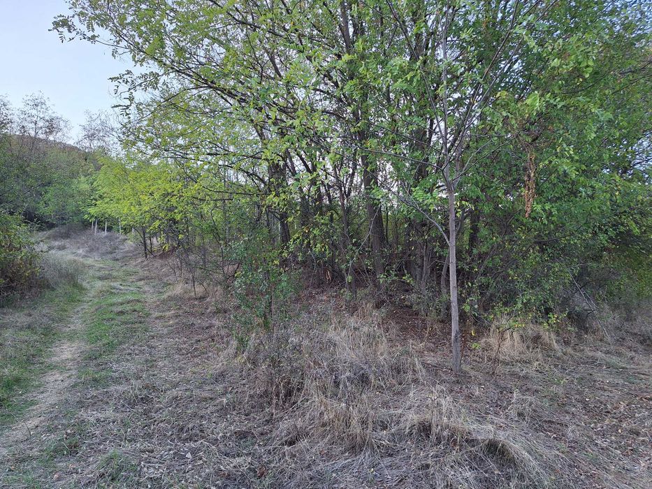 Продава се Парцел в с. Горнослав, Област Пловдив - 5849 кв.м за 2 €/кв.м - Снимка #2