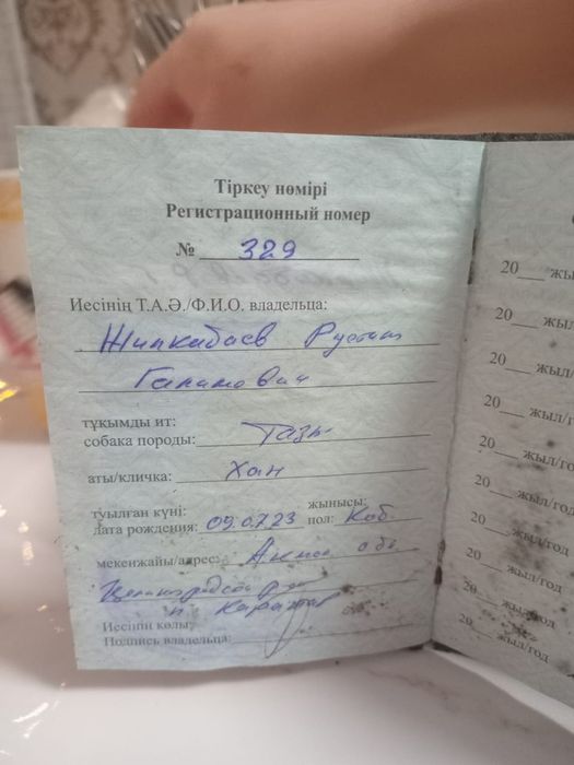 Продам щенят порода Тазы