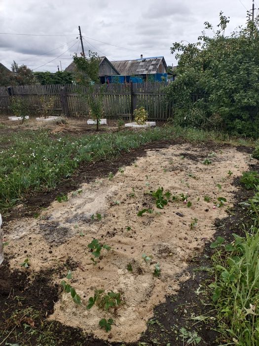 Продам/сдам дачу СО Энергетик