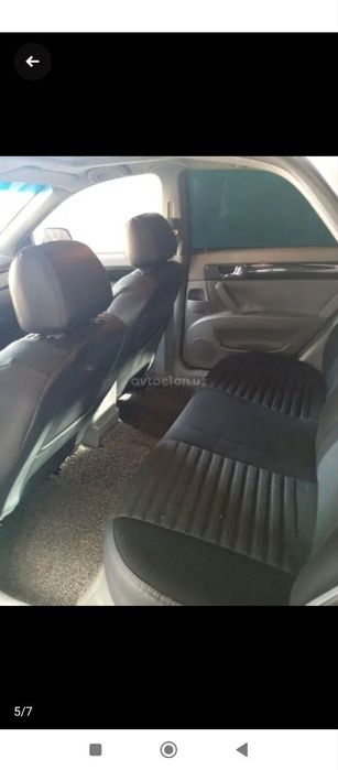 Жентра 2015 мокрий