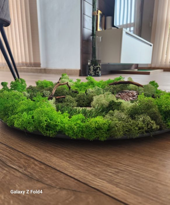 Картини със скандинавски мъх