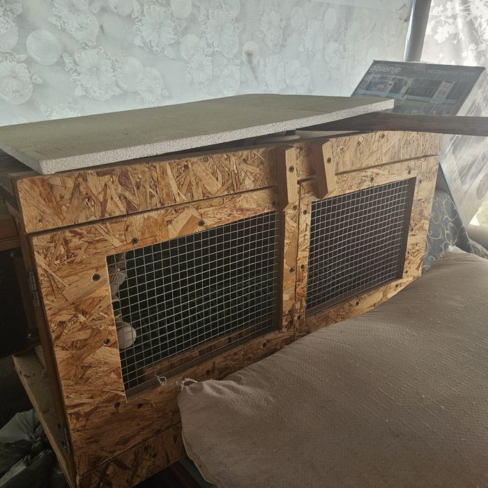 Брудер для цыплят