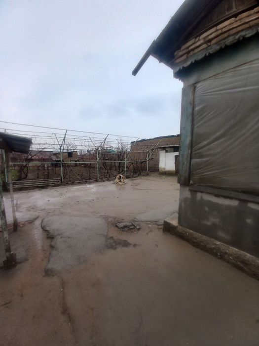 Xovli sotiladi nayman mahalasida