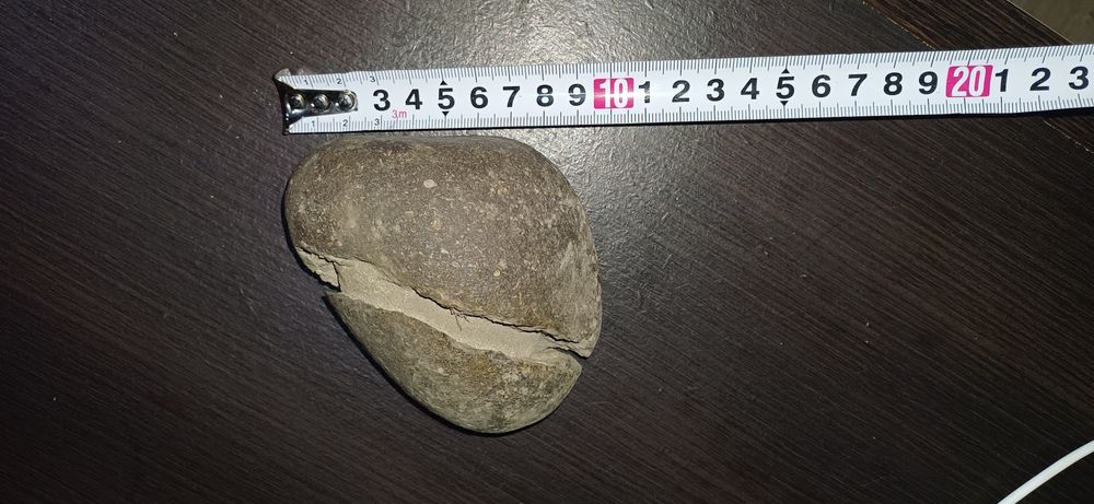 Окаменелое яйцо Динозавра