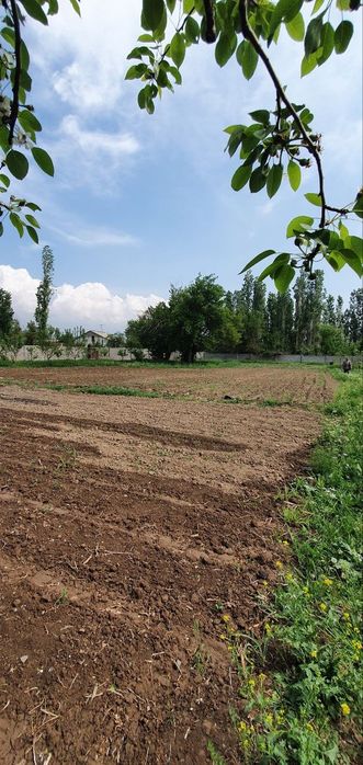 Продается Участок в таваксае