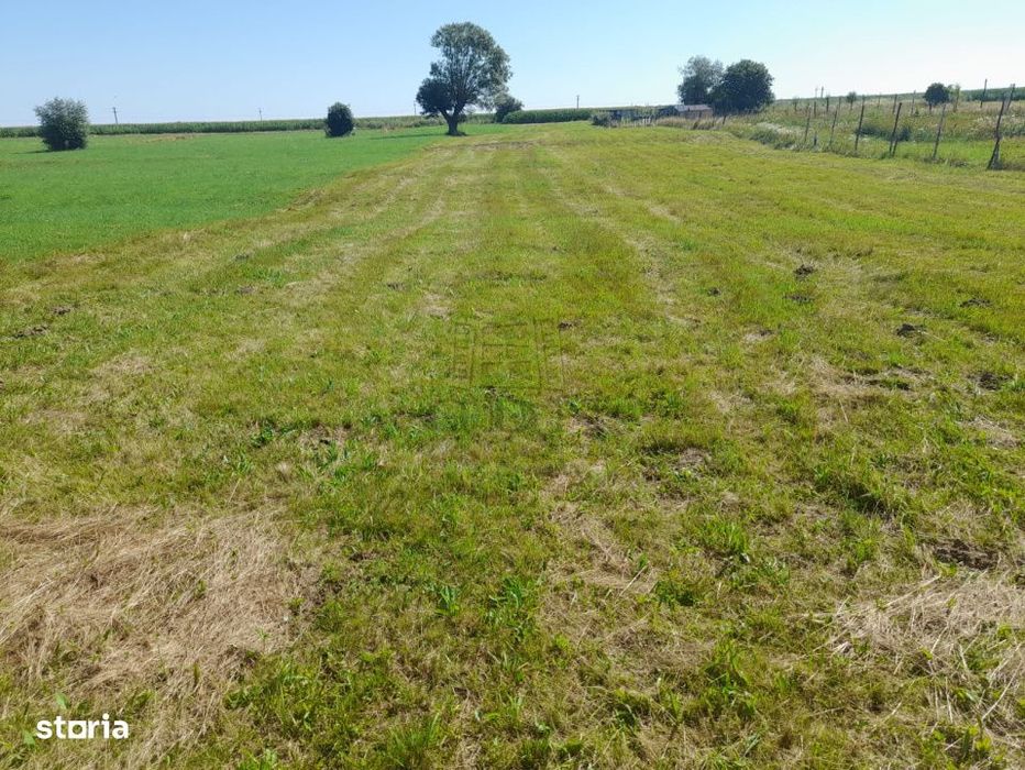 Vanzare teren intravilan apropiere de zona turistica  Sebes  Judetul b