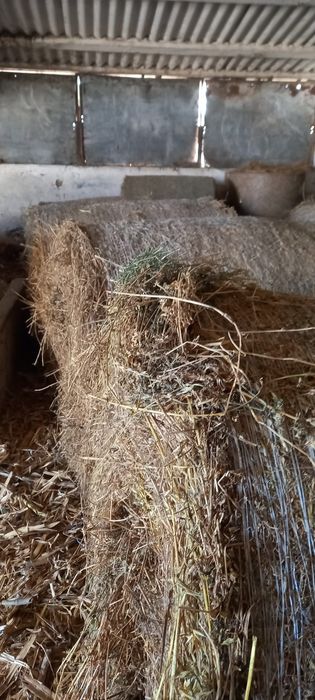 Vând baloti iarba, lucerna și coceni