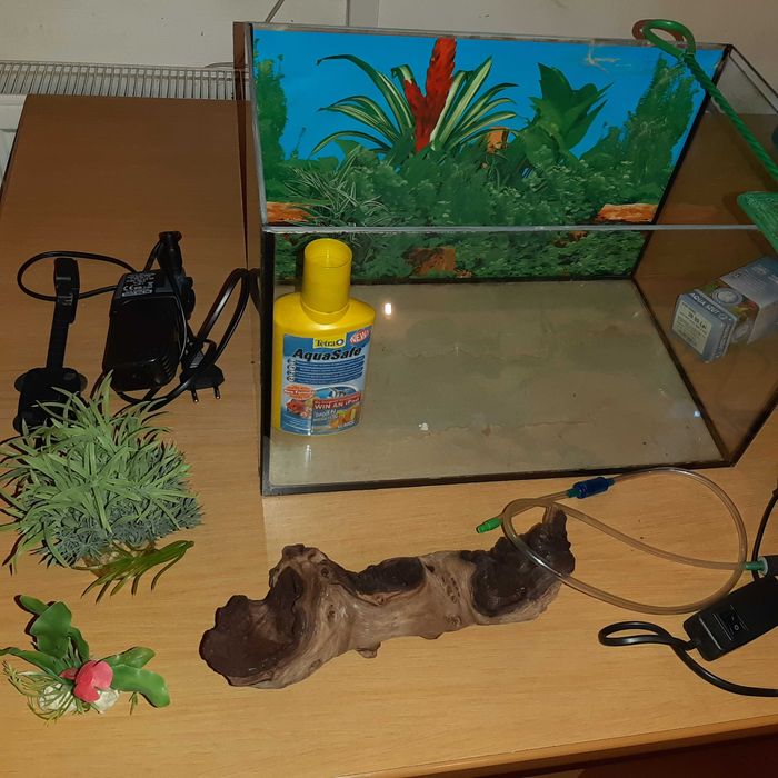 Acvariu și accesorii acvariu