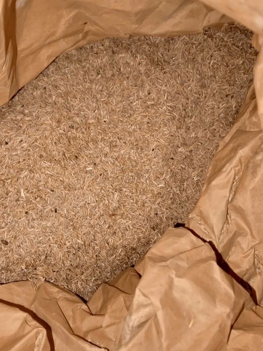 Продам семена газон по 1000