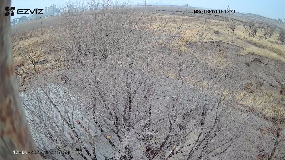 Бог 2гектар Гилос майский