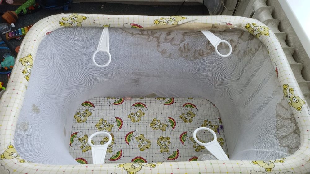 Отдам за шоколадку