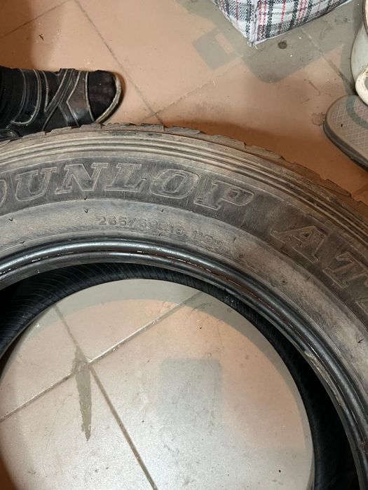 Летние Шины Dunlop