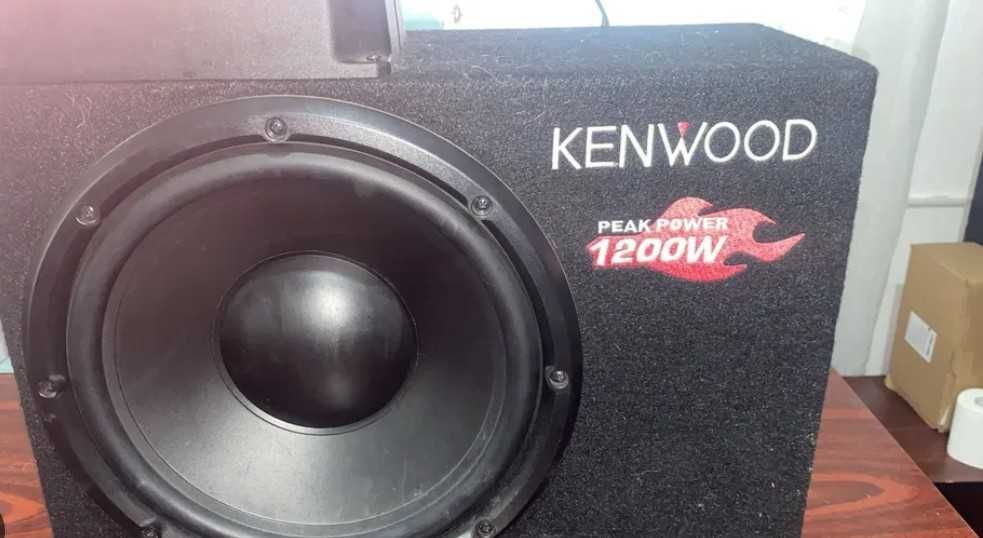 Boxe, 2 subwoofere. Pentru masină!