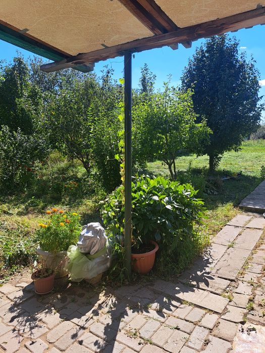 Продам дачу в кооперативе "Химпласт 2"
