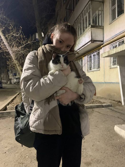 ПРОПАЛА КОШКА, вознаграждение 30000