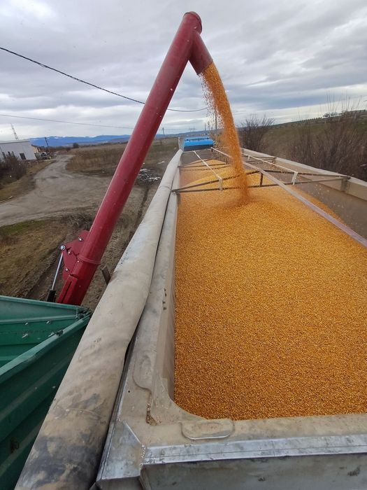 Vand porumb,grau,orz,tarate uruiala mazare floarea soarelui