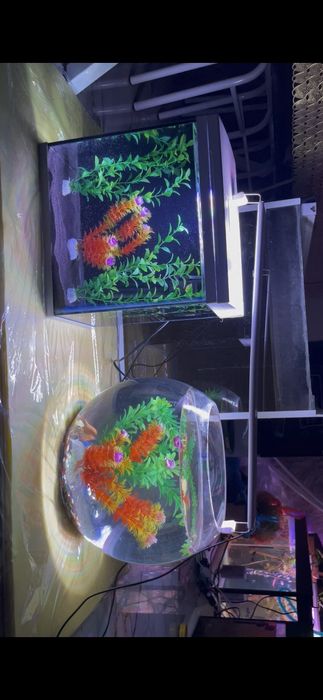 Аквариум заводской