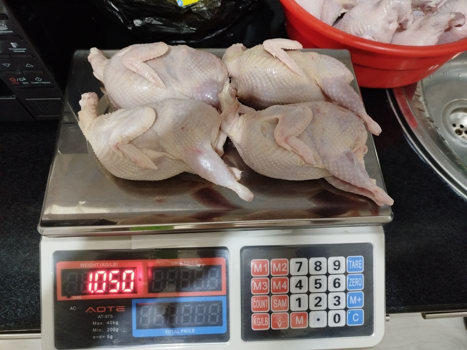 Белий гигант бедана  қибрай