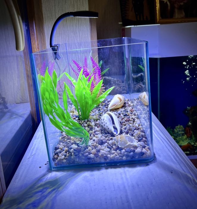 Аквариум 30 литров Новый (комплект)