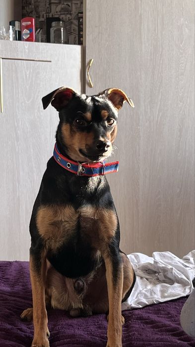 Вязка опытный кабель