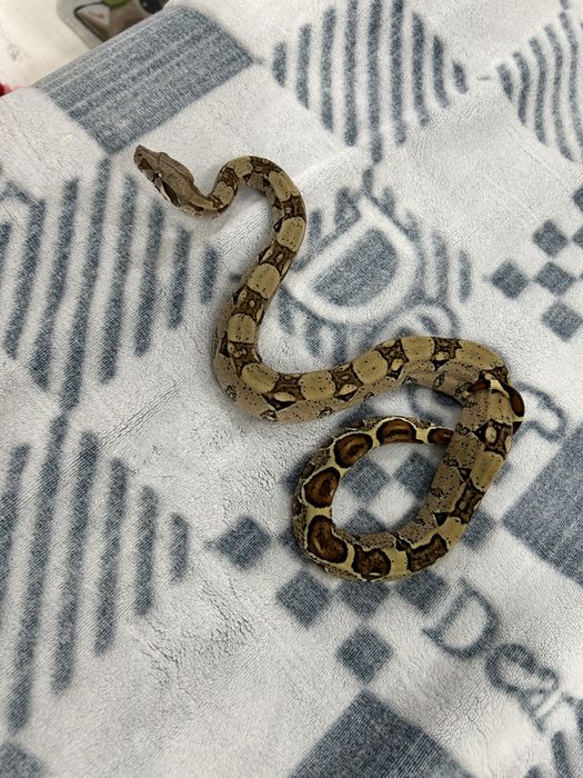 Продажа или обмен