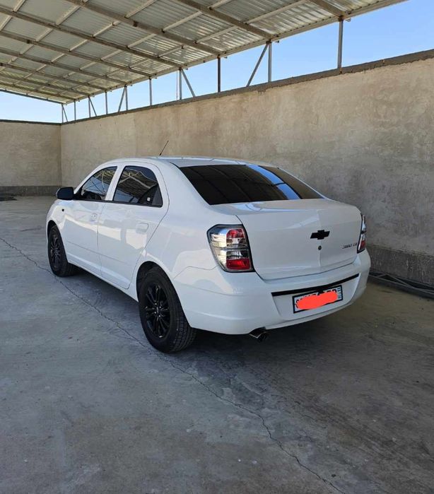 Kobalt midnight 2025   kraska probek radnoy. Cobalt