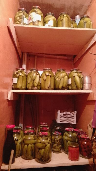 Продам огурчики мелкие