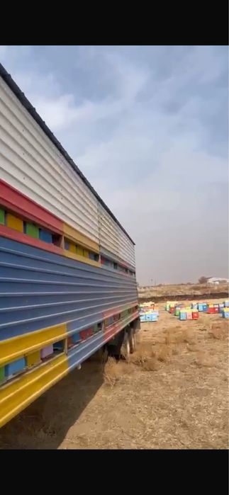 Прицеп пчеловодный