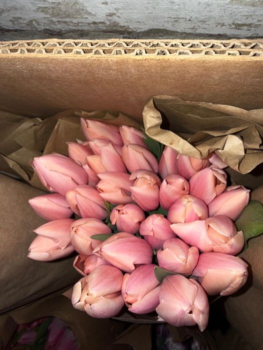 Тюльпаны с теплицы