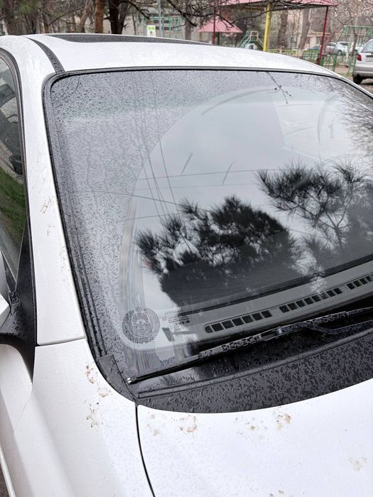 Arenda Gentra 2020yil oq rang