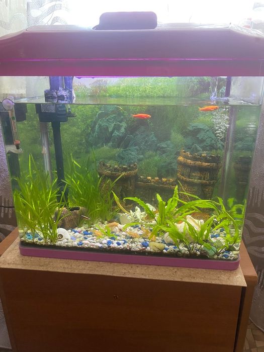 Продам аквариум укомплектованный