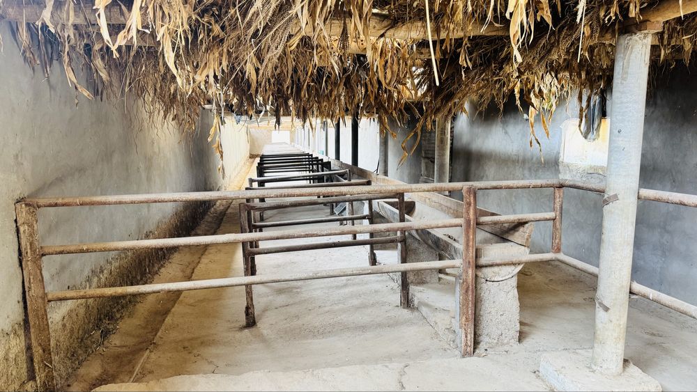 Ferma uchun tayor joy