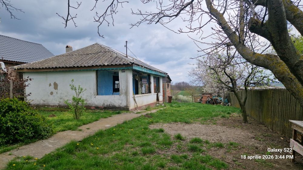 Teren Bohotin,  Raducaneni