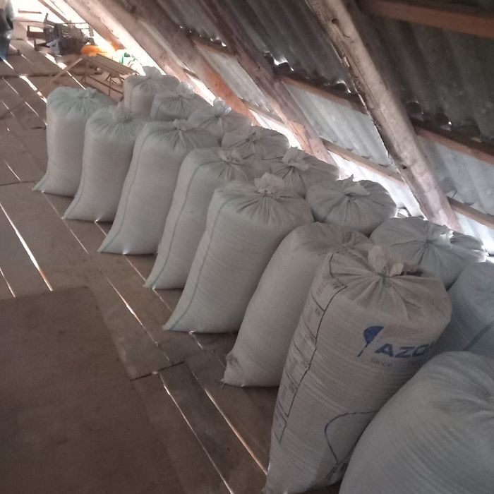 Vand triticale 1.20lei/kg