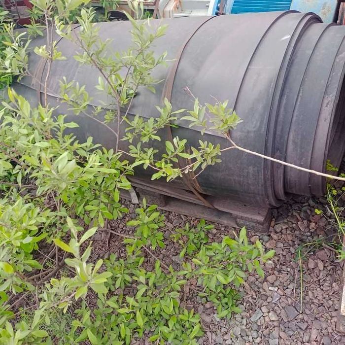 Ленточный конвейер КЛС-1600 L14