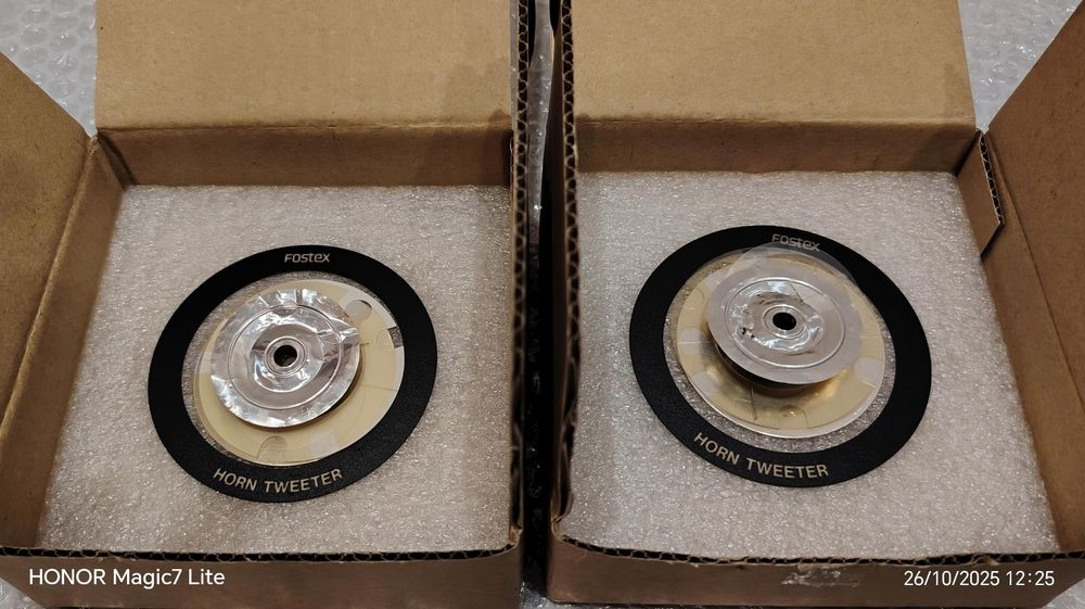 Calote - membrane  Fostex T925 functionale