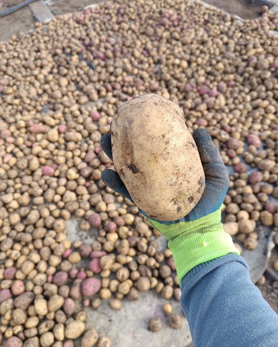 Дача ПК горняк  .