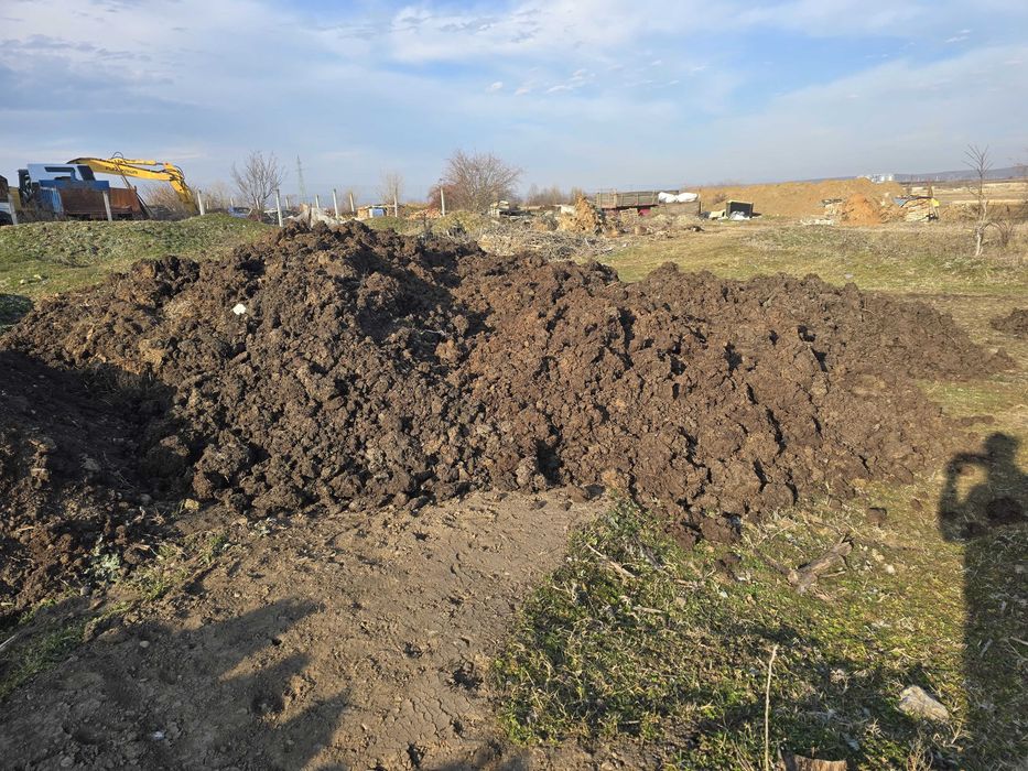 Ingrasamant, balegar, mranita vaca, natural, fermentat pentru gradina ...