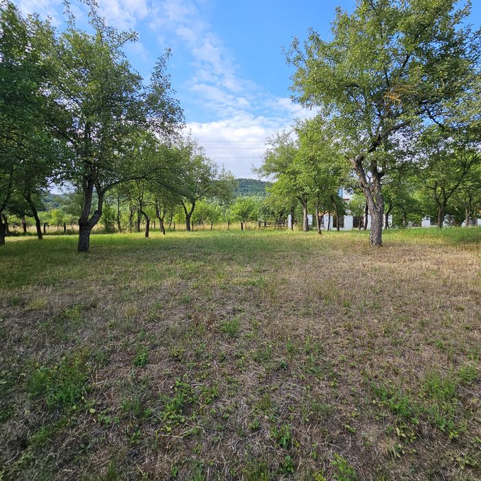 Teren intravilan tautii de sus