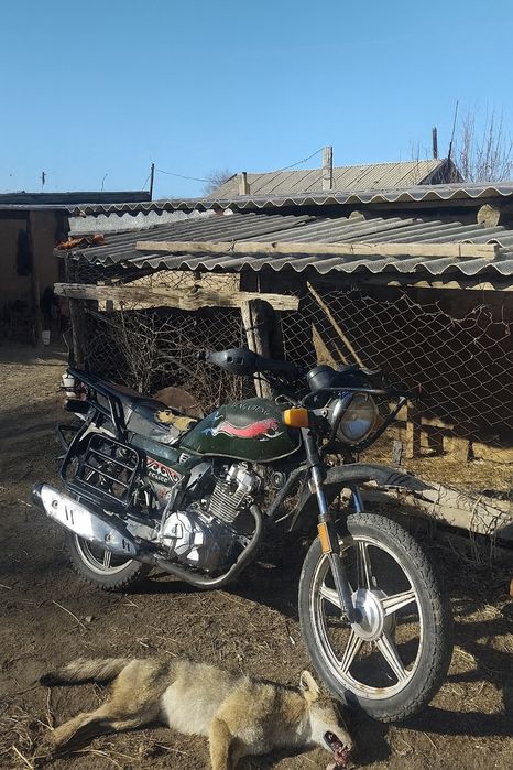 Мотоцикл peng cheng 150