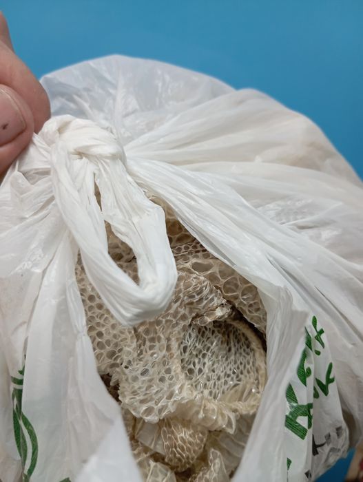 Выползки змеиные