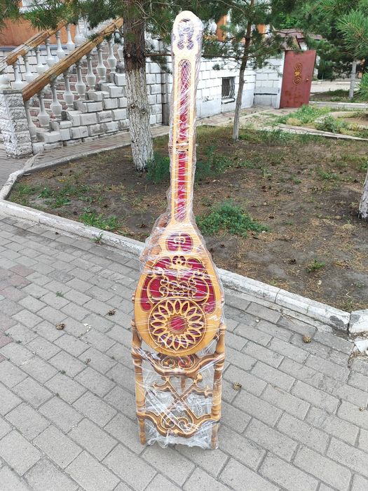 Футляр с дамброй