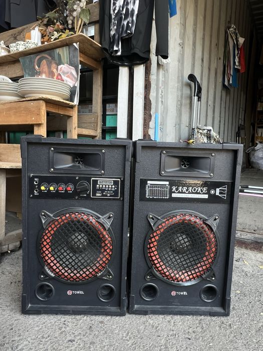 TOWEL Karaoke Professional Audio System