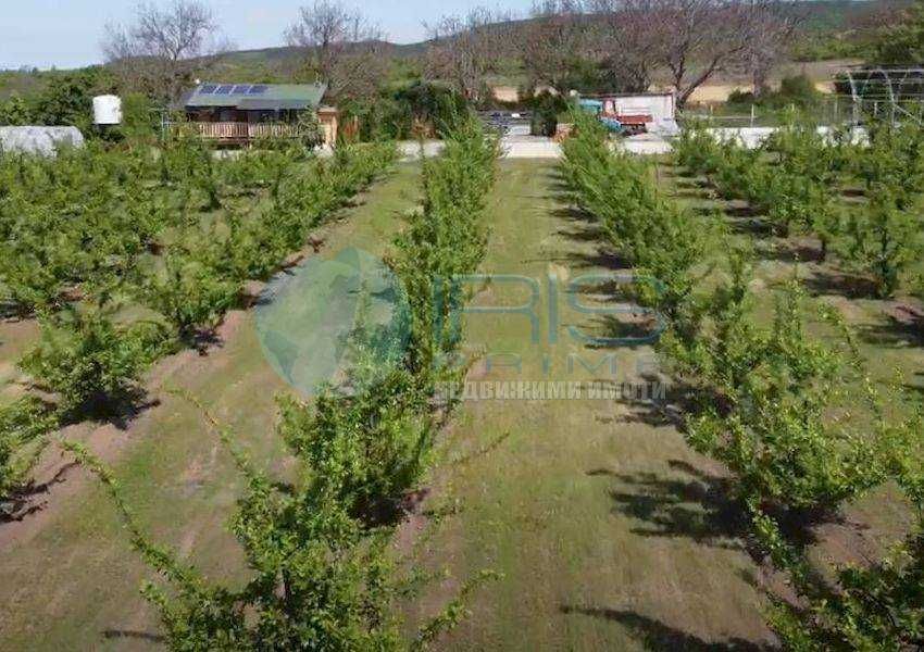 Продава се Земеделски имот в с. Осмар, Област Шумен -  кв.м за 4330 €/дка - Снимка #2