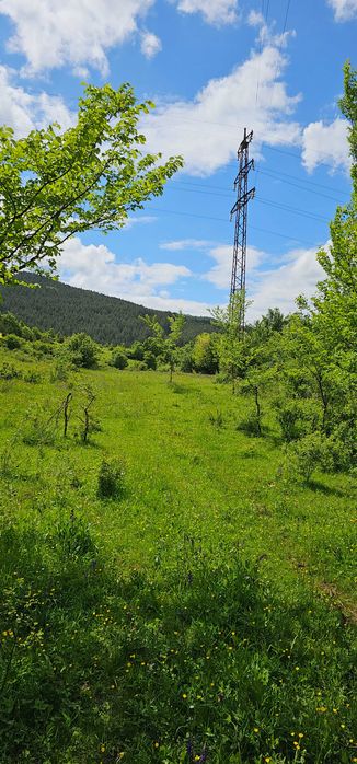 Продава се Парцел в Перник, Изток - 11803 кв.м за 16 €/кв.м - Снимка #6